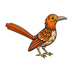 vector illustration of a brown thrasher bird