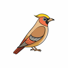 vector illustration of a cedar waxwing bird