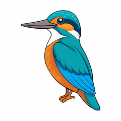 kingfisher isolated on white background
