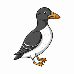 common murre cartoon isolated on white