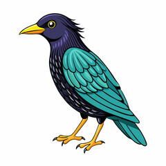 vector illustration of a common starling