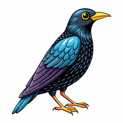 vector illustration of a common starling