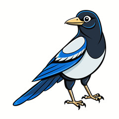 european magpie bird on a branch