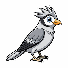 vector illustration of a gray jay