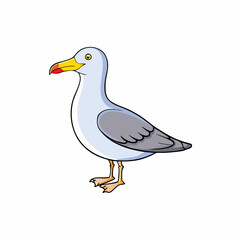 vector illustration of a herring gull