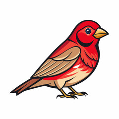 finch on a branch
