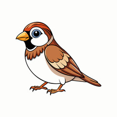sparrow bird on a branch