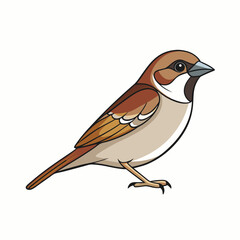 sparrow bird on a branch