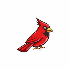 red cardinal bird