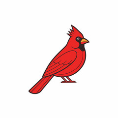 red cardinal bird