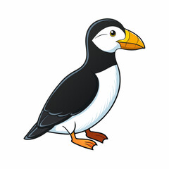 penguin on a white background razorbill