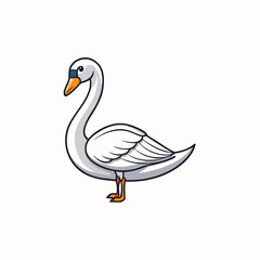 vector illustration of a swan