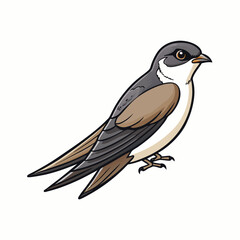 vector illustration of a swift bird