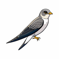 vector illustration of a swift bird