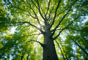 Fototapeta premium Majestic Tree Sunlight Starburst Concept Lush Green Forest - Vibrant Nature Photography Spring Marketing Campaigns Eco-Friendly Promotions