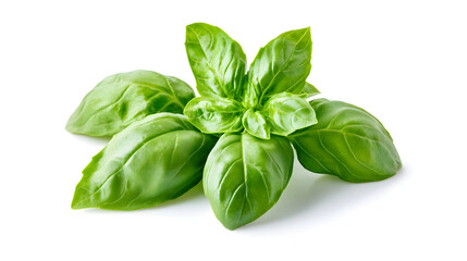 leaves isolated on a white background with vibrant green color and natural texture 