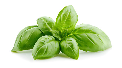 Fototapeta premium leaves isolated on a white background with vibrant green color and natural texture 