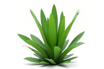 Fototapeta premium Lush Green Plant with Long Leaves Isolated on White Background