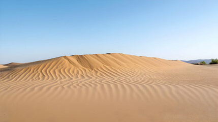 Expansive Golden Sand Dunes Under a Clear Blue Sky in a Desert Landscape