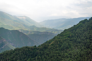 Naklejka premium Caucasian mountain. Dagestan. Trees, rocks, mountains, view of the green mountains. Beautiful summer landscape.