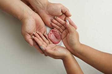 A father and mother hold the feet of a newborn child in a white blanket on a white background.. The feet of a newborn in the hands of parents. Photo of foot, heels and toes.The palms of the parents.