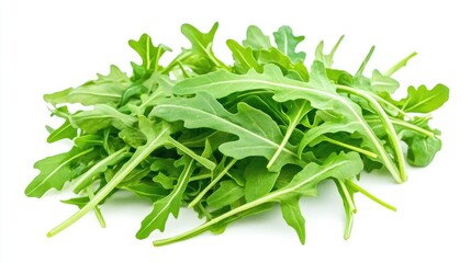 Fresh arugula leaves on a clean white backdrop for culinary designs