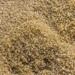 Fototapeta premium Macro view of grains of sand from a Caribbean beach.