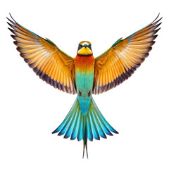 Fototapeta premium tropical bird soaring with vibrant feathers, symbolizing freedom and adventure