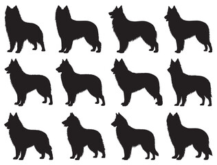 BELGIAN SHEEP DOGS SILHOUETTE WHITE BACKGROUND