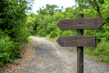 Fototapeta premium A weathered wooden signpost stands at a fork in a trail, surrounded by lush greenery, inviting exploration along the path.