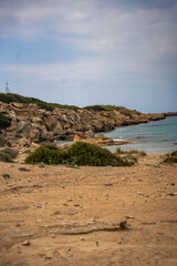 A wild, untouched beach on the northern coast of Cyprus, known as a nesting site for sea turtles. The image captures the pristine beauty of nature and the fragile ecosystem of marine wildlife