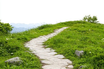 Serene Mountain Path Through Lush Green Grass Against a White Background