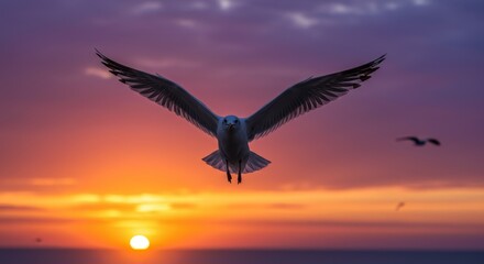 Fototapeta premium Majestic Seagull Sunset Flight - A seagull in flight against a vibrant sunset sky, wings outstretched. Stunning nature scene