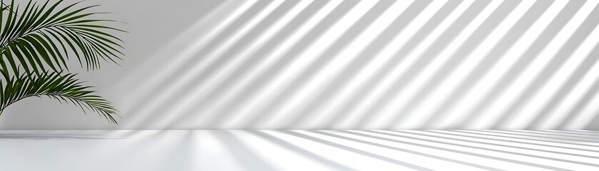 Fototapeta premium Green Leaf Plant Casting Shadows on Minimalist White Wall in Modern Indoor Setting