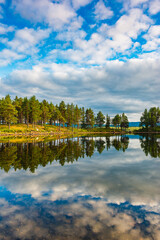 Stunning reflection of pine trees and clouds in a serene lake in Sweden during daytime