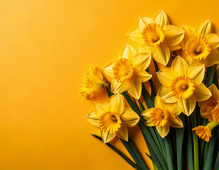 Obraz premium Osterglocken auf sanftem Gelb – Leuchtende Frühlingsblumen in sonniger Atmosphäre