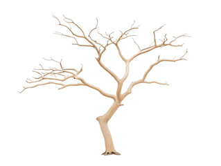 A tree with no leaves is depicted in a white background. The tree appears to be bare and lifeless, with no signs of growth or vitality. Concept of emptiness and desolation