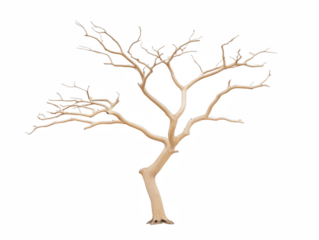 A tree with no leaves is depicted in a white background. The tree appears to be bare and lifeless, with no signs of growth or vitality. Concept of emptiness and desolation