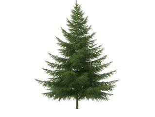 A tall green pine tree stands alone on a white background. The tree is the main focus of the image, and its height and fullness convey a sense of strength and stability