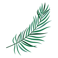 Fototapeta premium palm leaf in flat style
