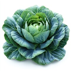 Obraz premium A fresh, vibrant green cabbage with layered leaves, showcasing its natural beauty.
