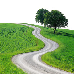 Winding rural road through a green field with trees, isolated on white background © Angles