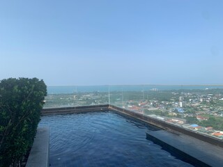 Rooftop pool view with gardening tree and sky