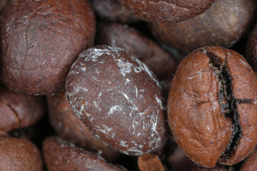 Caffeine crystallization on roasted coffee beans looking like mold. Macro photography.