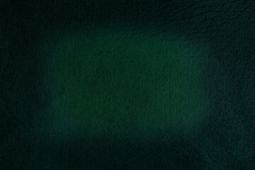 Beautiful green background with leather texture