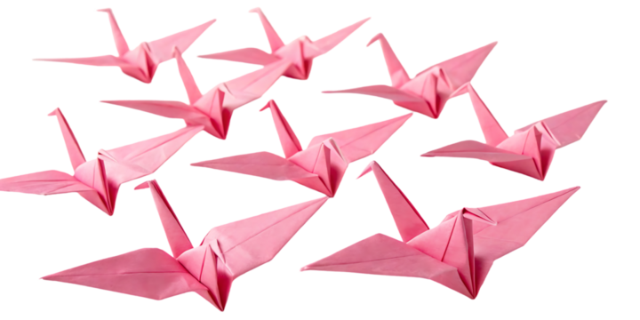 Pink Origami Cranes on White