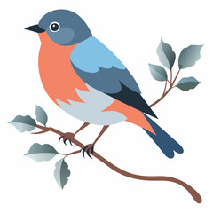 vector illustration of a bird