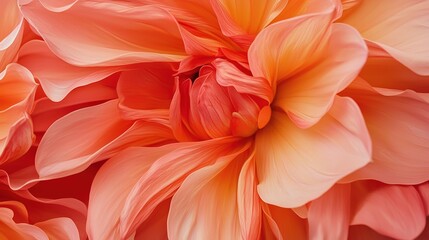 Obraz premium Vibrant summer flower bloom nature garden gigapixel petal display colorful chaos close-up view floral beauty