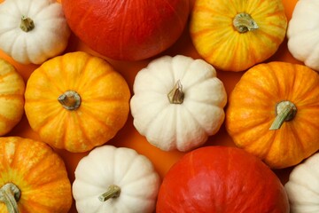Beautiful autumn composition with pumpkins on a color background, top view