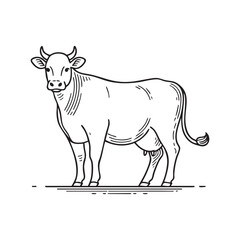 Fototapeta premium black and white cow